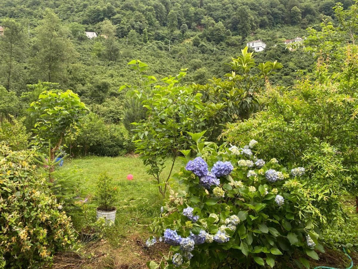 Doga Villa Yomra Bagian luar foto